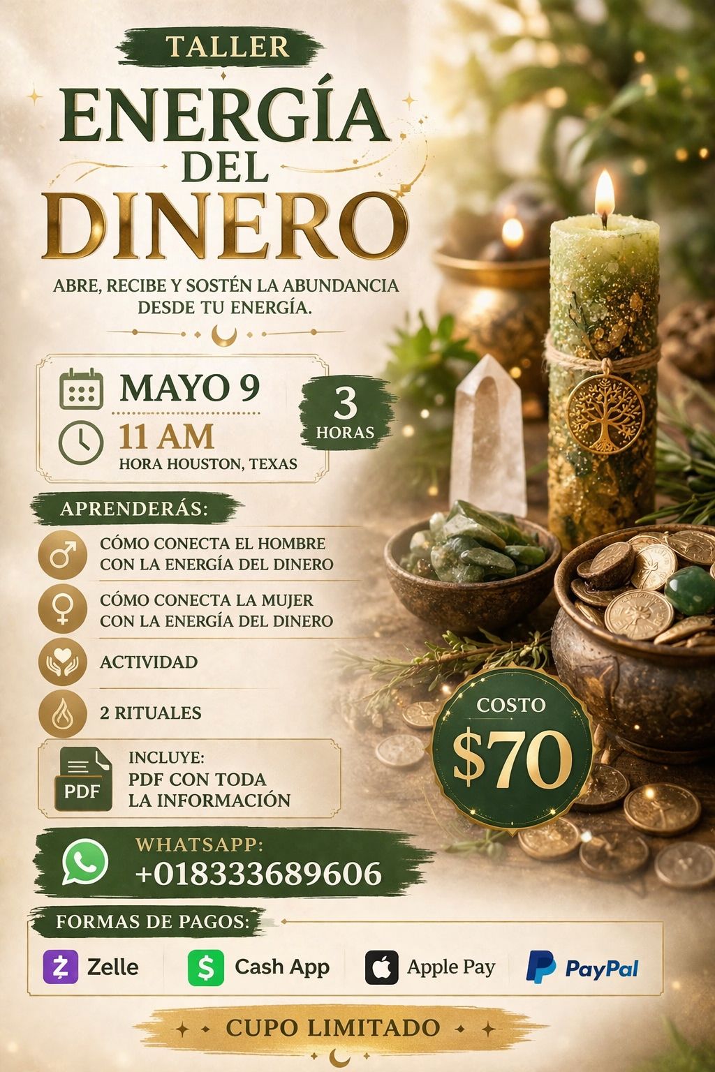 Taller Conexión con la Energía del Dinero